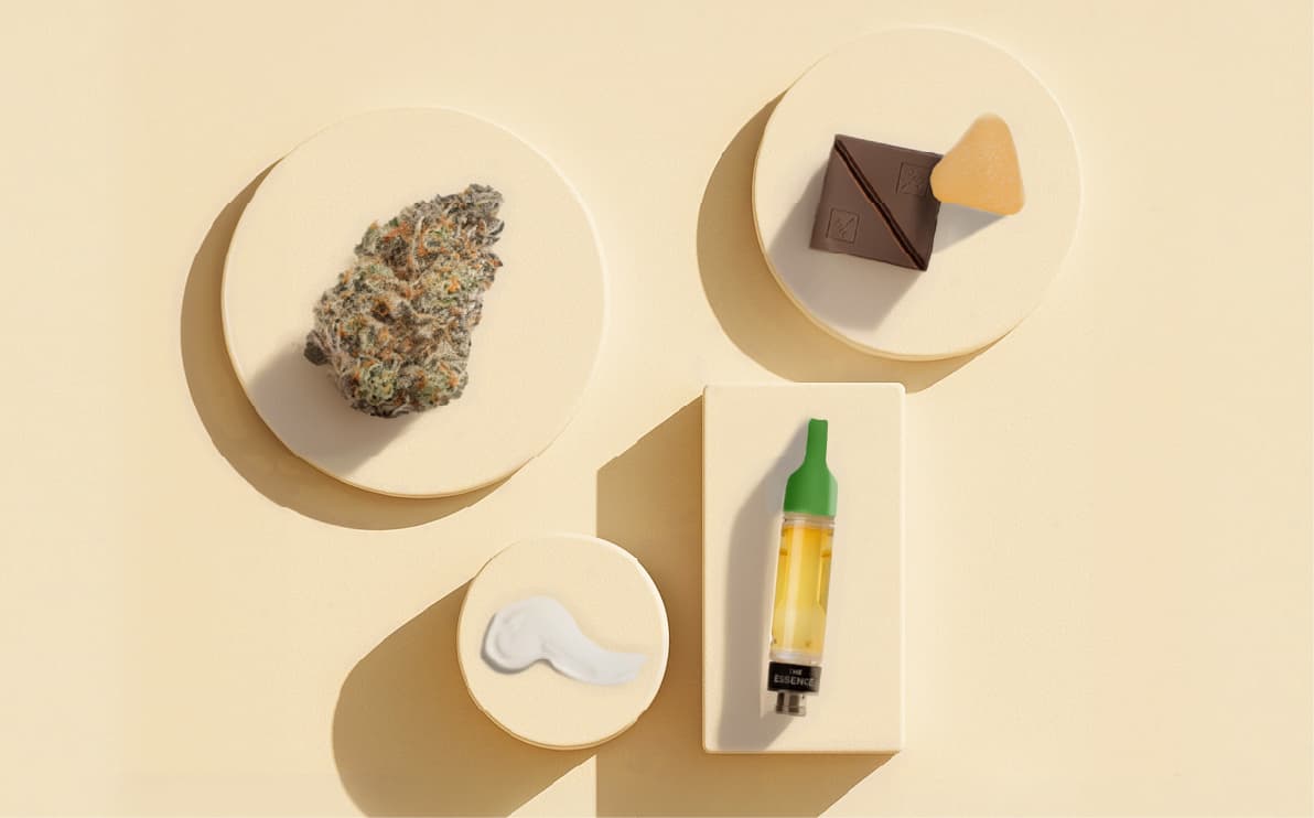 Learn about cannabinoids like THC and CBD
