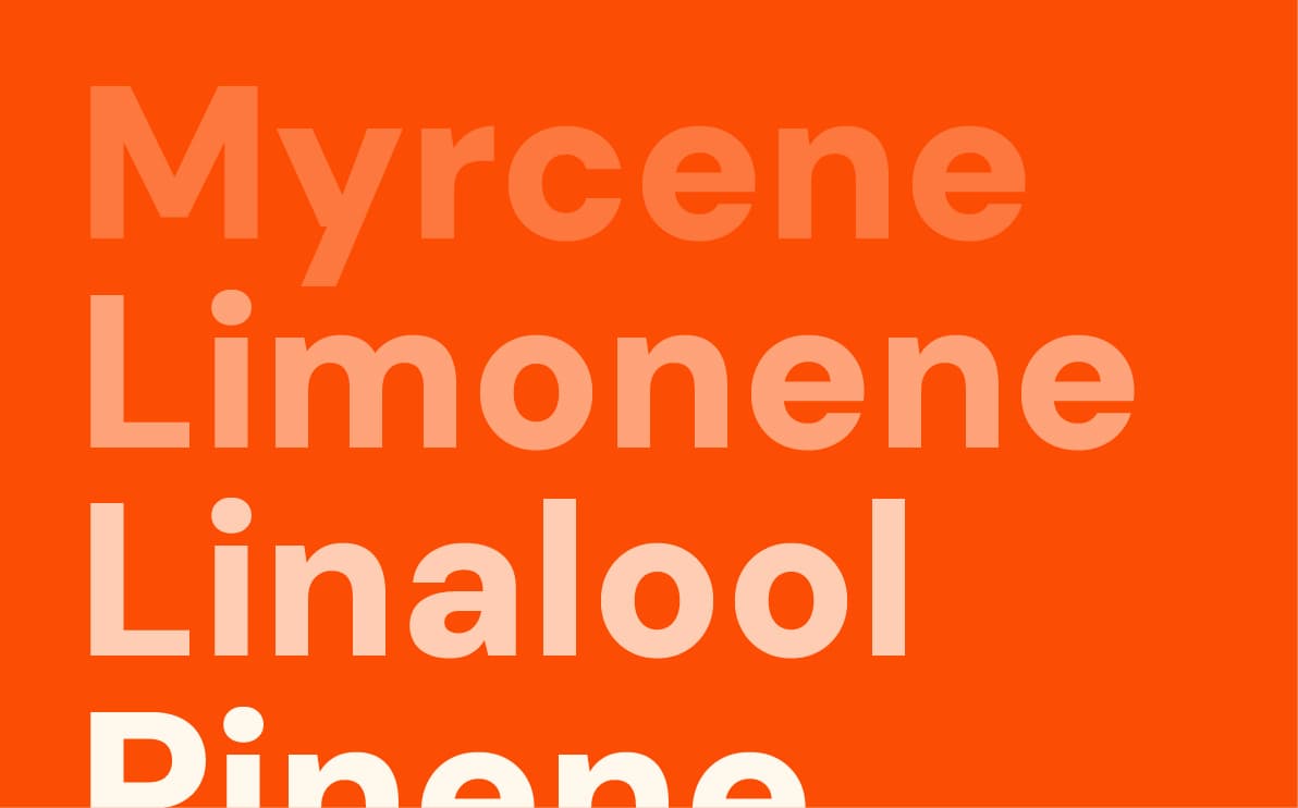 Learn about cannabis terpenes