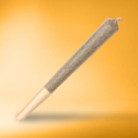 Pre-rolled cannabis joints