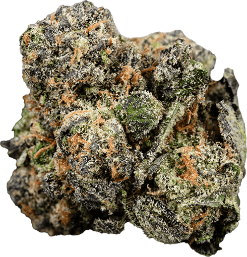 Kosher Kush