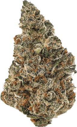 Pink Certz